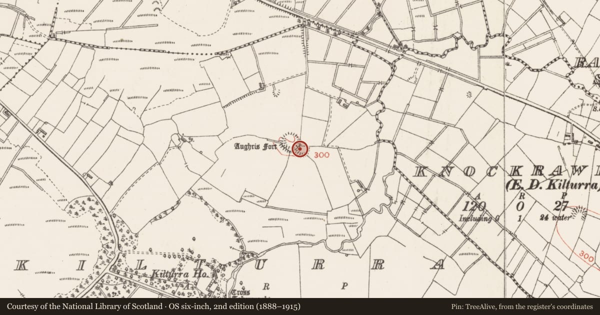 Ordnance Survey six-inch map, 2nd edition (1888–1915) covering the location of Ringfort - rath, Kilturra, County Sligo, with a pin at the register's coordinates