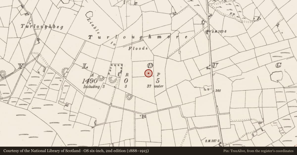 Ordnance Survey six-inch map, 2nd edition (1888–1915) covering the location of Cist, Moylough, County Sligo, with a pin at the register's coordinates