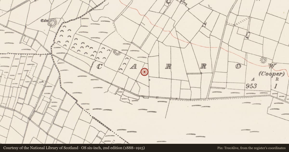 Ordnance Survey six-inch map, 2nd edition (1888–1915) covering the location of Ringfort - rath, Carrowreagh (Cooper), County Sligo, with a pin at the register's coordinates
