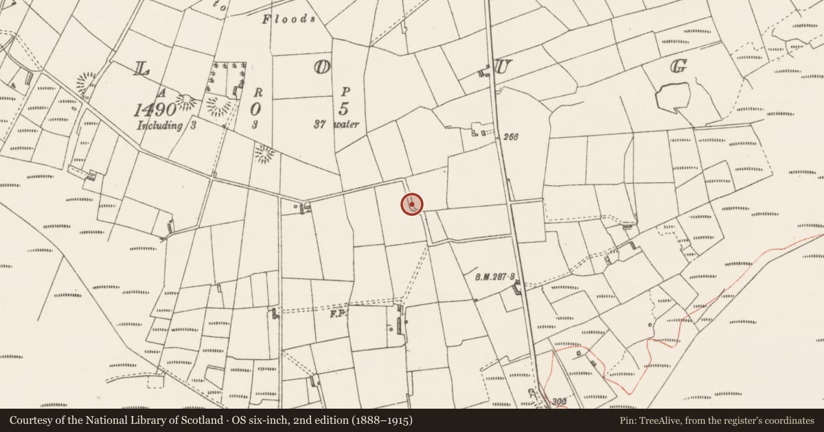 Ordnance Survey six-inch map, 2nd edition (1888–1915) covering the location of Souterrain, Moylough, County Sligo, with a pin at the register's coordinates