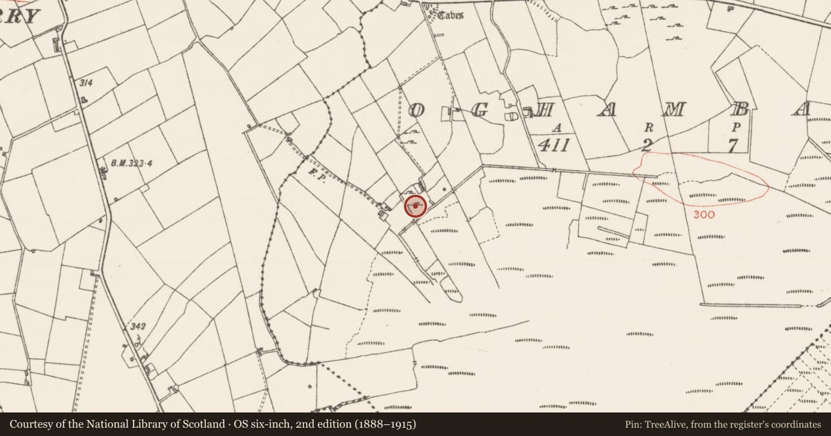 Ordnance Survey six-inch map, 2nd edition (1888–1915) covering the location of Fulacht fia, Oghambaun, County Sligo, with a pin at the register's coordinates