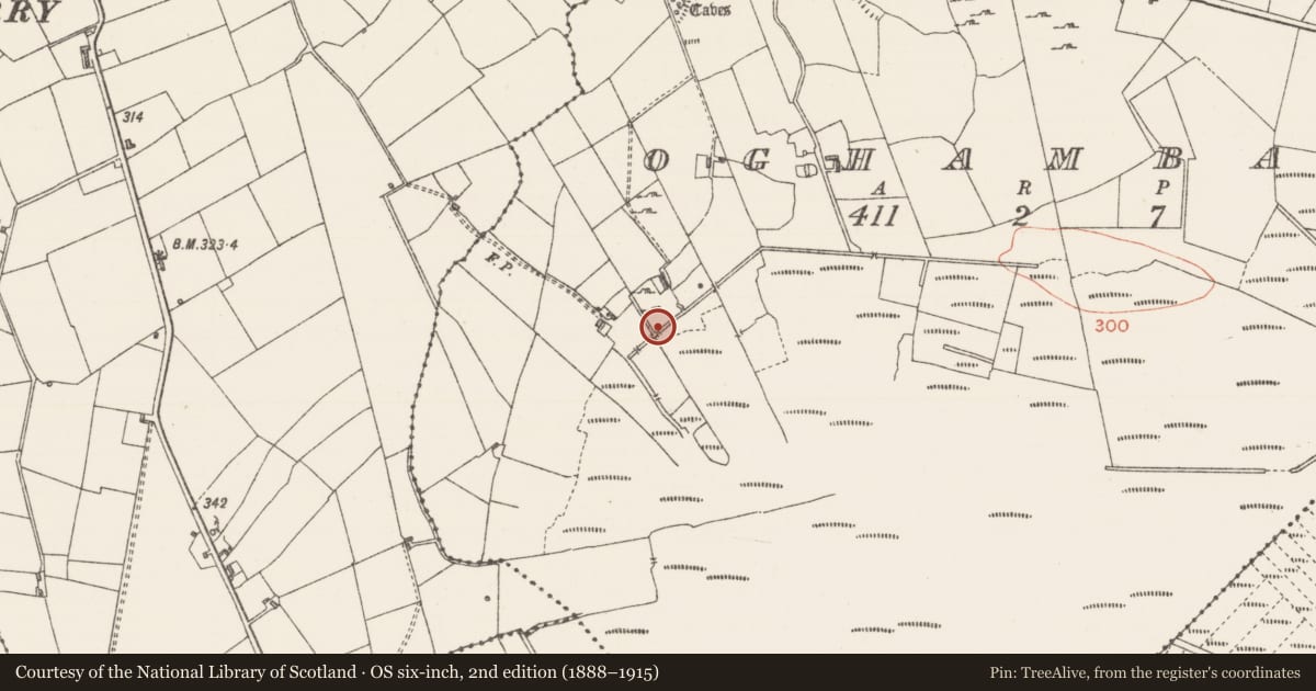 Ordnance Survey six-inch map, 2nd edition (1888–1915) covering the location of Fulacht fia, Oghambaun, County Sligo, with a pin at the register's coordinates