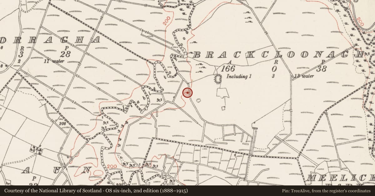 Ordnance Survey six-inch map, 2nd edition (1888–1915) covering the location of Fulacht fia, Brackcloonagh, County Sligo, with a pin at the register's coordinates