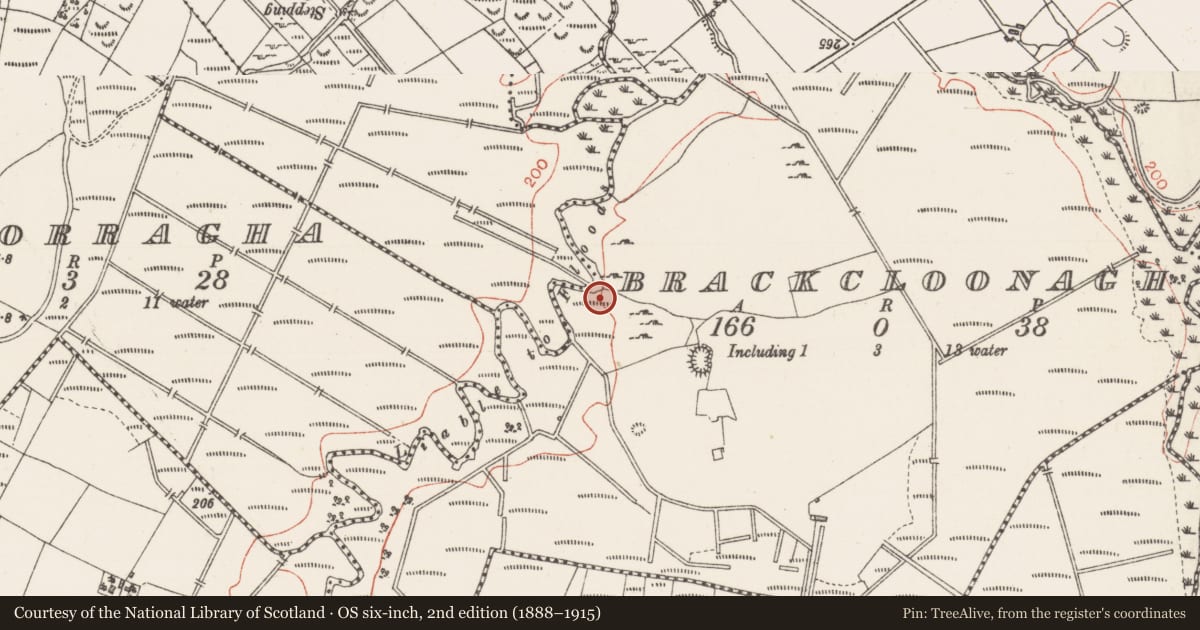 Ordnance Survey six-inch map, 2nd edition (1888–1915) covering the location of Burnt mound, Brackcloonagh, County Sligo, with a pin at the register's coordinates