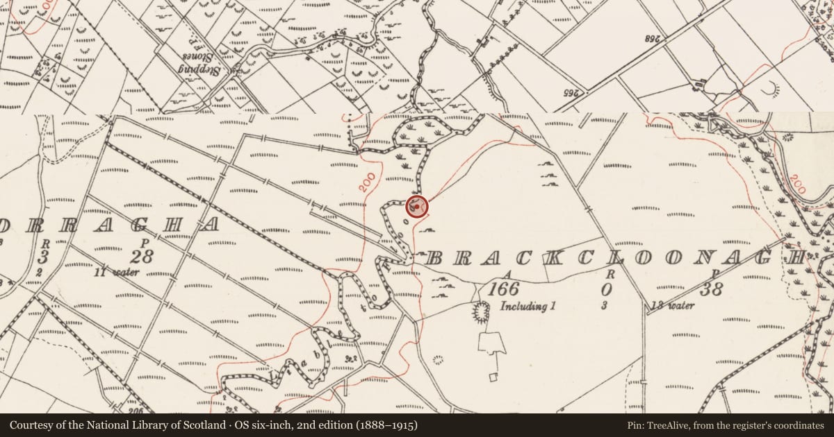 Ordnance Survey six-inch map, 2nd edition (1888–1915) covering the location of Burnt mound, Brackcloonagh, County Sligo, with a pin at the register's coordinates
