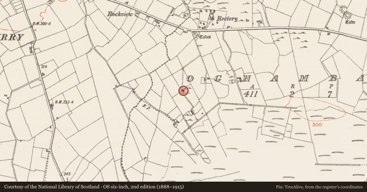 Ordnance Survey six-inch map, 2nd edition (1888–1915) covering the location of Burial ground, Oghambaun, County Sligo, with a pin at the register's coordinates