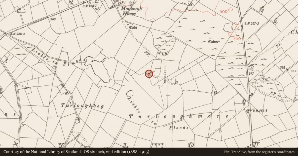 Ordnance Survey six-inch map, 2nd edition (1888–1915) covering the location of Cist, Moylough, County Sligo, with a pin at the register's coordinates