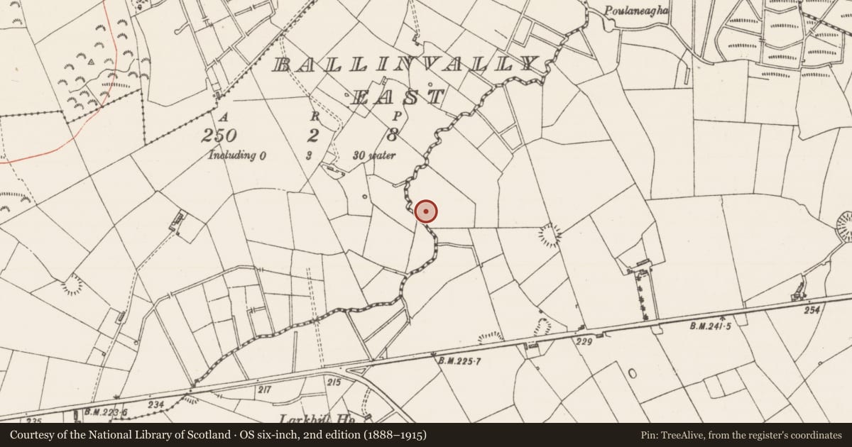 Ordnance Survey six-inch map, 2nd edition (1888–1915) covering the location of Enclosure, Quarryfield, County Sligo, with a pin at the register's coordinates