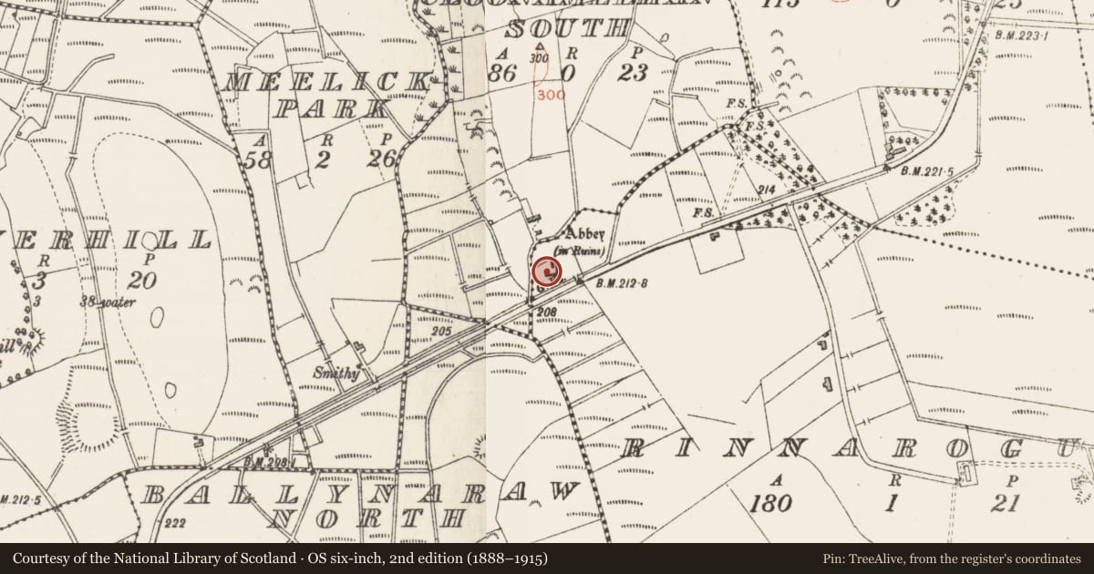 Ordnance Survey six-inch map, 2nd edition (1888–1915) covering the location of Religious house - Dominican friars, Rinnarogue, County Sligo, with a pin at the register's coordinates