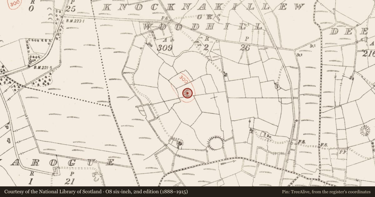 Ordnance Survey six-inch map, 2nd edition (1888–1915) covering the location of Ringfort - rath, Knocknakillew Or Woodhill, County Sligo, with a pin at the register's coordinates