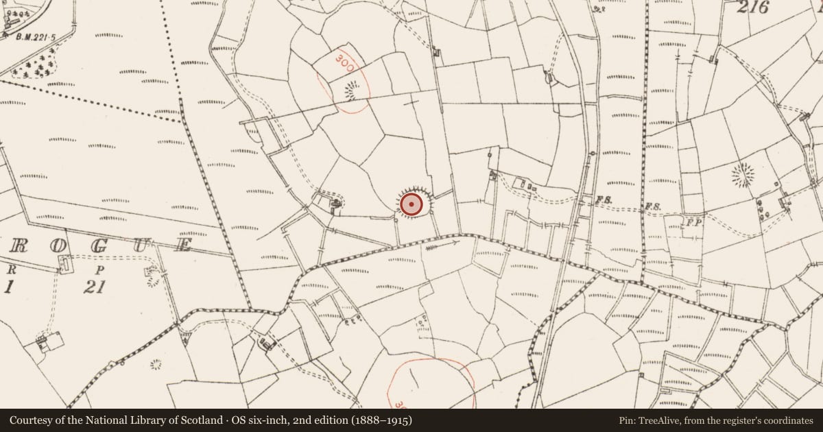 Ordnance Survey six-inch map, 2nd edition (1888–1915) covering the location of Ringfort - rath, Knocknakillew Or Woodhill, County Sligo, with a pin at the register's coordinates