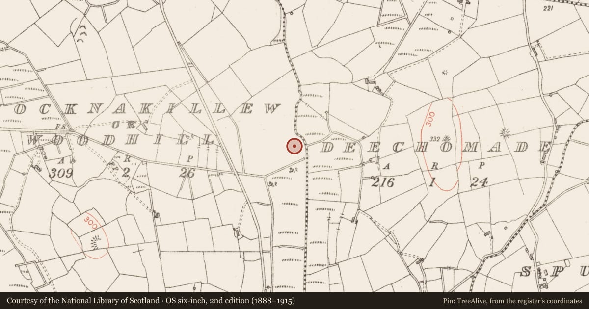 Ordnance Survey six-inch map, 2nd edition (1888–1915) covering the location of Moated site, Knocknakillew Or Woodhill, County Sligo, with a pin at the register's coordinates