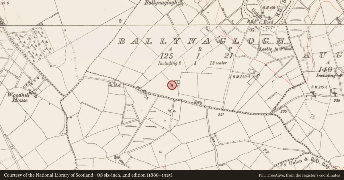 Ordnance Survey six-inch map, 2nd edition (1888–1915) covering the location of Ringfort - rath, Ballynaglogh, County Sligo, with a pin at the register's coordinates