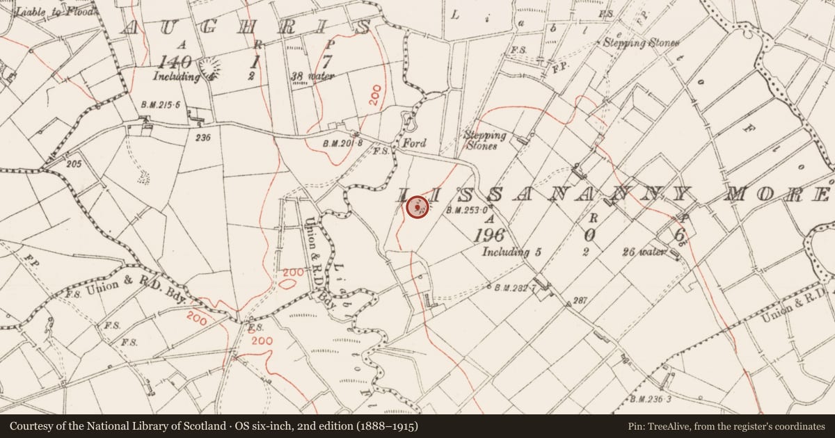 Ordnance Survey six-inch map, 2nd edition (1888–1915) covering the location of Ringfort - cashel, Lissananny More, County Sligo, with a pin at the register's coordinates