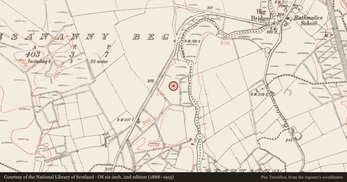 Ordnance Survey six-inch map, 2nd edition (1888–1915) covering the location of Moated site, Lissananny Beg, County Sligo, with a pin at the register's coordinates