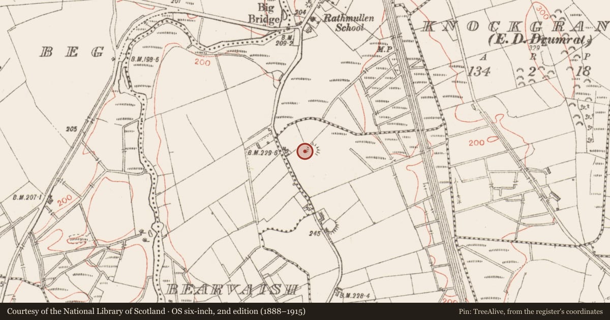 Ordnance Survey six-inch map, 2nd edition (1888–1915) covering the location of Ringfort - rath, Carrickrathmullin, County Sligo, with a pin at the register's coordinates
