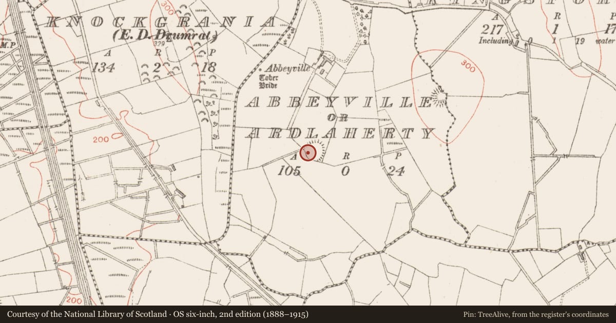 Ordnance Survey six-inch map, 2nd edition (1888–1915) covering the location of Ringfort - rath, Abbeyville Or Ardlaherty, County Sligo, with a pin at the register's coordinates