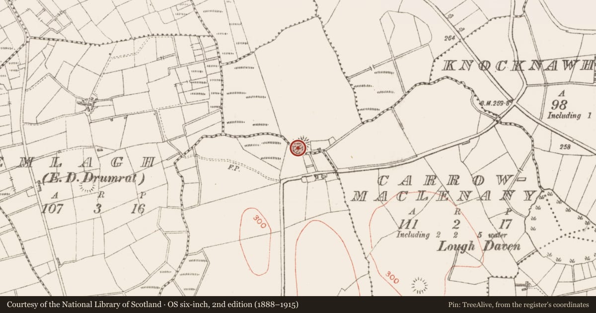 Ordnance Survey six-inch map, 2nd edition (1888–1915) covering the location of Ringfort - rath, Carrowmaclenany, County Sligo, with a pin at the register's coordinates