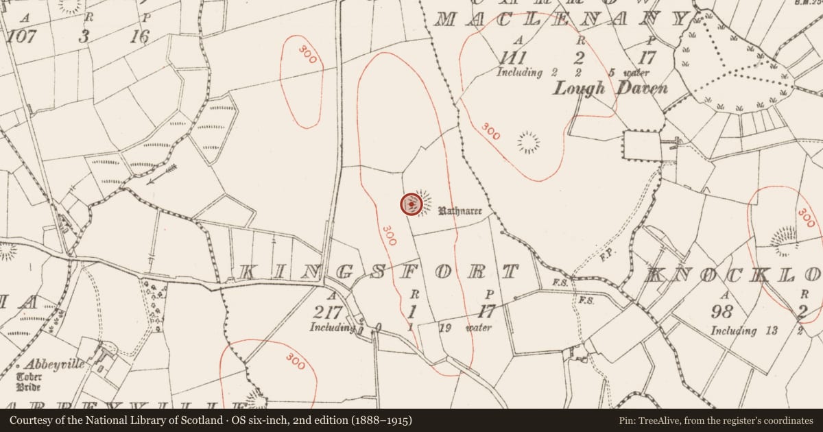 Ordnance Survey six-inch map, 2nd edition (1888–1915) covering the location of Ringfort - rath, Kingsfort, County Sligo, with a pin at the register's coordinates