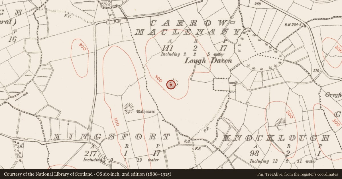 Ordnance Survey six-inch map, 2nd edition (1888–1915) covering the location of Ringfort - rath, Carrowmaclenany, County Sligo, with a pin at the register's coordinates