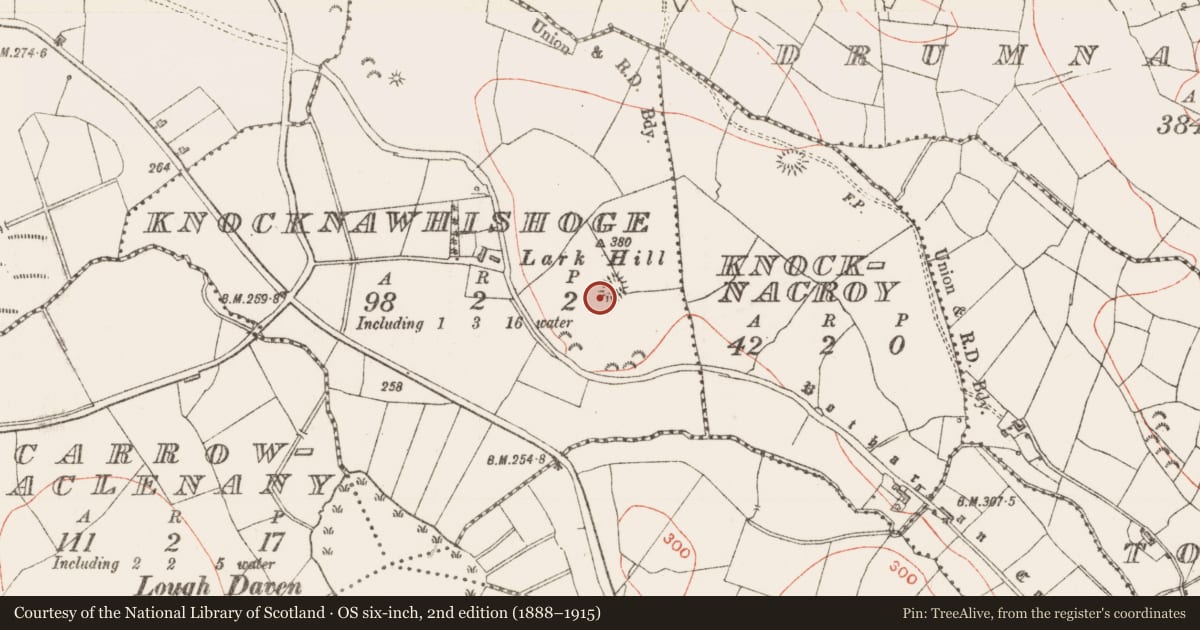 Ordnance Survey six-inch map, 2nd edition (1888–1915) covering the location of Ringfort - rath, Knocknawhishoge, County Sligo, with a pin at the register's coordinates