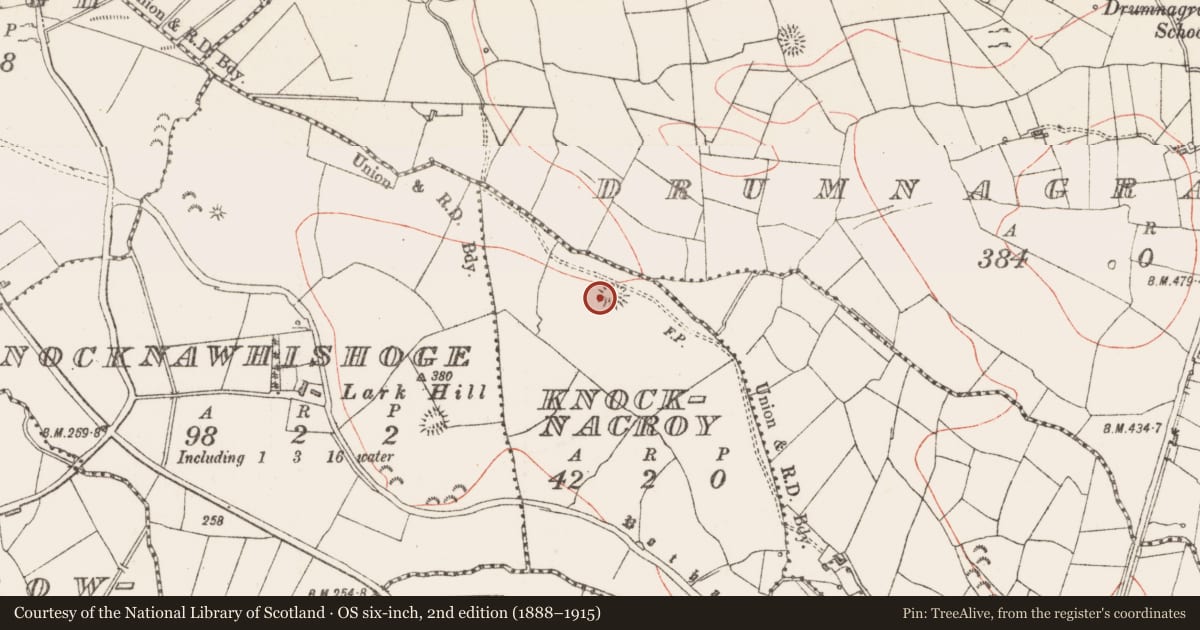 Ordnance Survey six-inch map, 2nd edition (1888–1915) covering the location of Ringfort - rath, Knocknacroy, County Sligo, with a pin at the register's coordinates