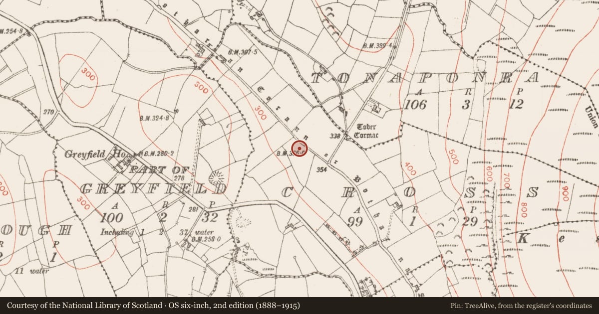Ordnance Survey six-inch map, 2nd edition (1888–1915) covering the location of Road - road/trackway, County Sligo, with a pin at the register's coordinates