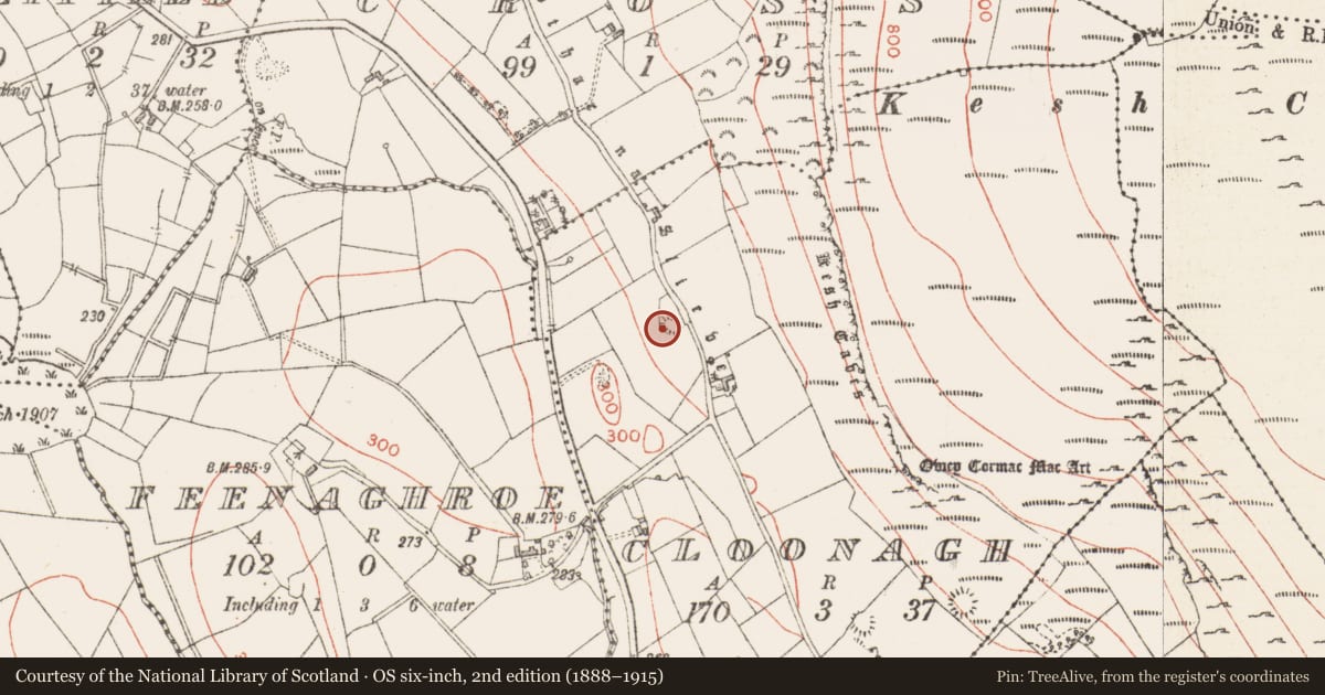 Ordnance Survey six-inch map, 2nd edition (1888–1915) covering the location of Enclosure, Cloonagh, County Sligo, with a pin at the register's coordinates