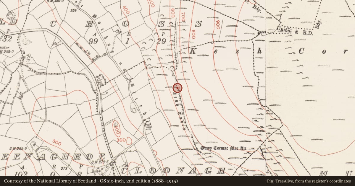 Ordnance Survey six-inch map, 2nd edition (1888–1915) covering the location of Cave, Cloonagh, Cross, County Sligo, with a pin at the register's coordinates