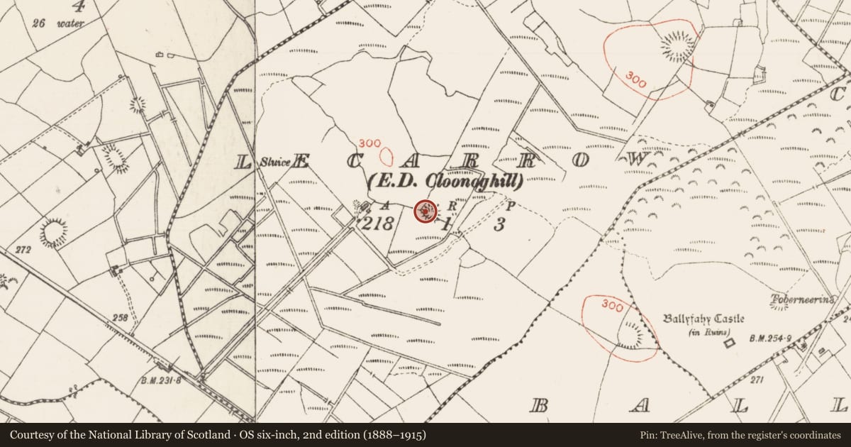 Ordnance Survey six-inch map, 2nd edition (1888–1915) covering the location of Ringfort - rath, Lecarrow, County Sligo, with a pin at the register's coordinates