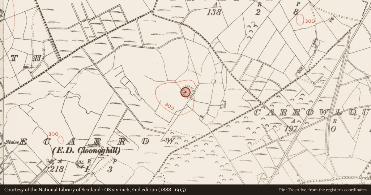 Ordnance Survey six-inch map, 2nd edition (1888–1915) covering the location of Ringfort - rath, Lecarrow, County Sligo, with a pin at the register's coordinates