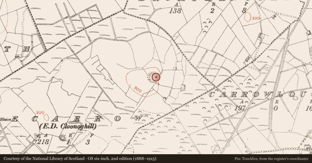 Ordnance Survey six-inch map, 2nd edition (1888–1915) covering the location of Hut site, Lecarrow, County Sligo, with a pin at the register's coordinates