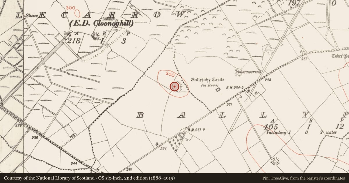 Ordnance Survey six-inch map, 2nd edition (1888–1915) covering the location of Ringfort - rath, Ballyfahy, County Sligo, with a pin at the register's coordinates