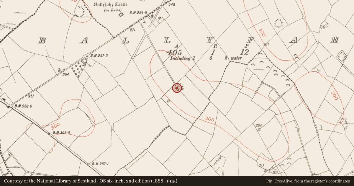 Ordnance Survey six-inch map, 2nd edition (1888–1915) covering the location of Ringfort - rath, Ballyfahy, County Sligo, with a pin at the register's coordinates