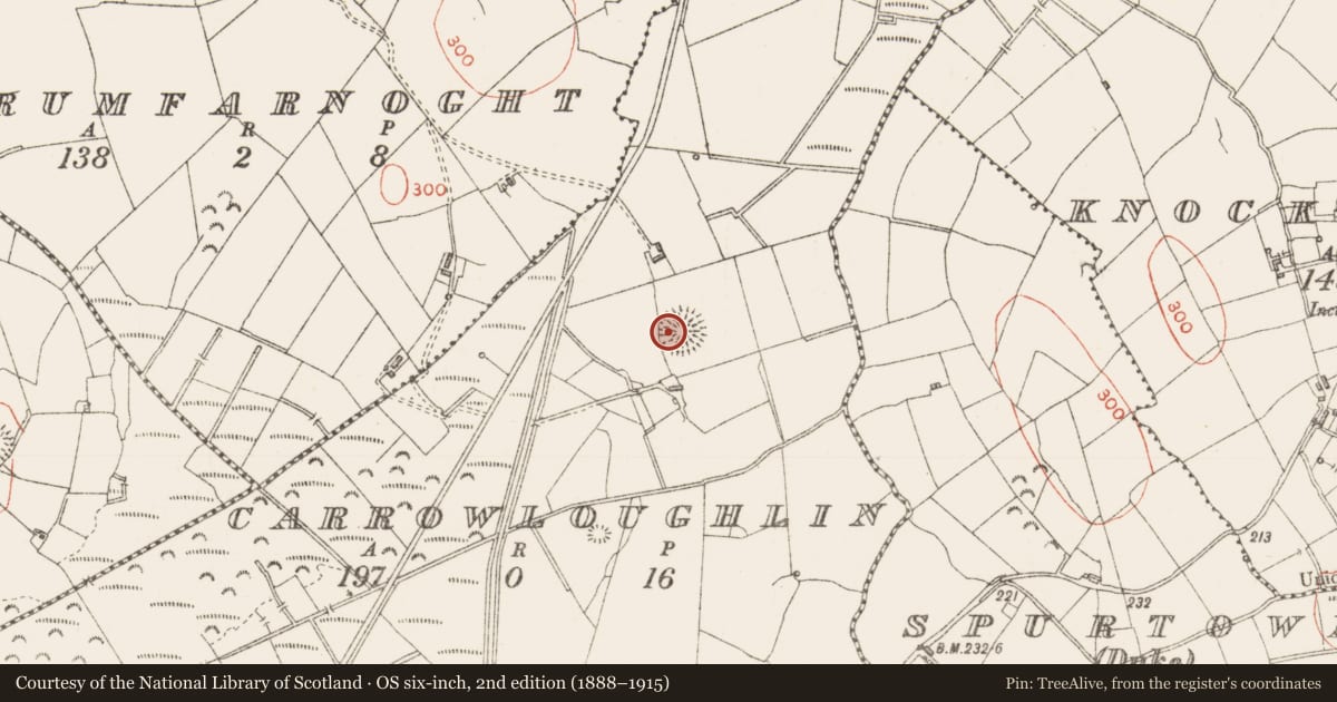 Ordnance Survey six-inch map, 2nd edition (1888–1915) covering the location of Ringfort - rath, Carrowloughlin, County Sligo, with a pin at the register's coordinates