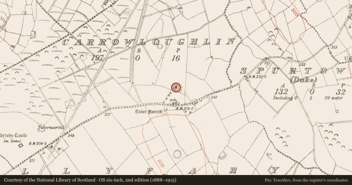 Ordnance Survey six-inch map, 2nd edition (1888–1915) covering the location of Ringfort - rath, Carrowloughlin, County Sligo, with a pin at the register's coordinates
