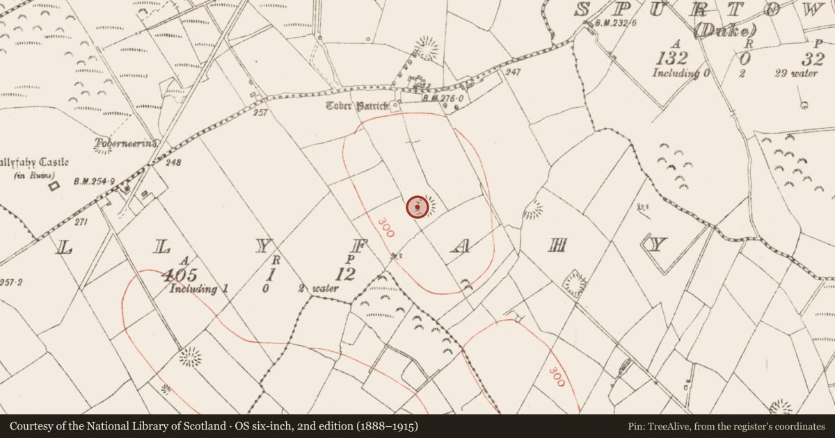 Ordnance Survey six-inch map, 2nd edition (1888–1915) covering the location of Ringfort - rath, Ballyfahy, County Sligo, with a pin at the register's coordinates