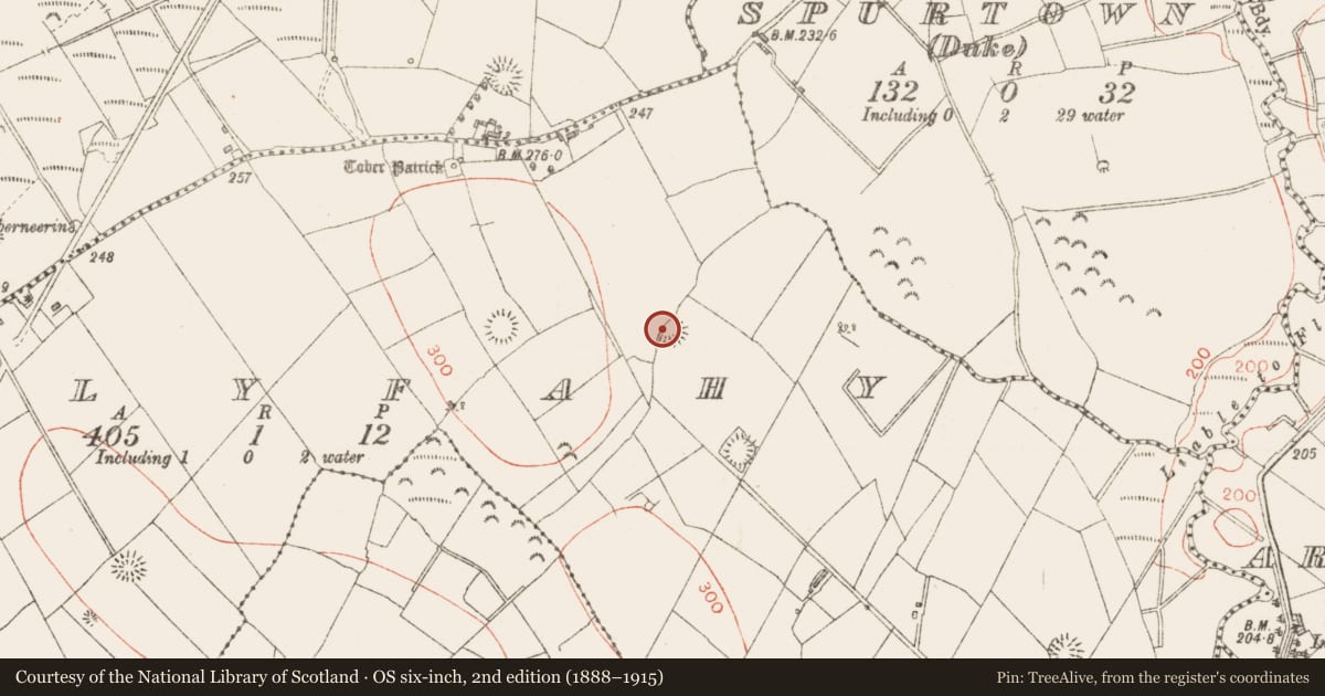 Ordnance Survey six-inch map, 2nd edition (1888–1915) covering the location of Ringfort - rath, Ballyfahy, County Sligo, with a pin at the register's coordinates