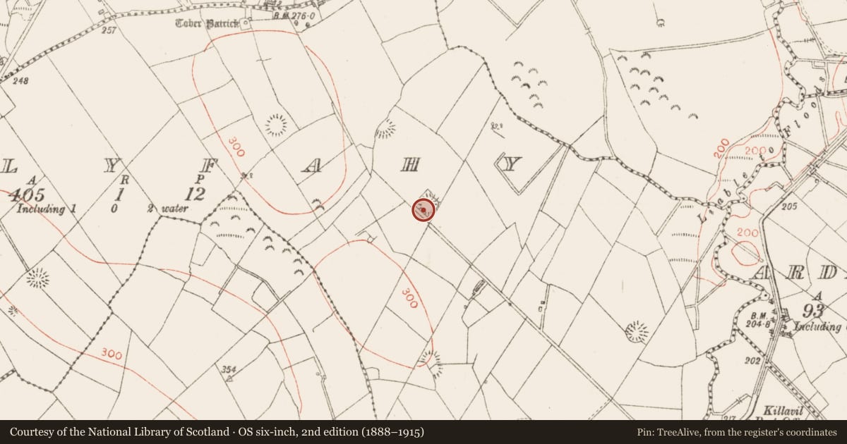 Ordnance Survey six-inch map, 2nd edition (1888–1915) covering the location of Ringfort - rath, Ballyfahy, County Sligo, with a pin at the register's coordinates