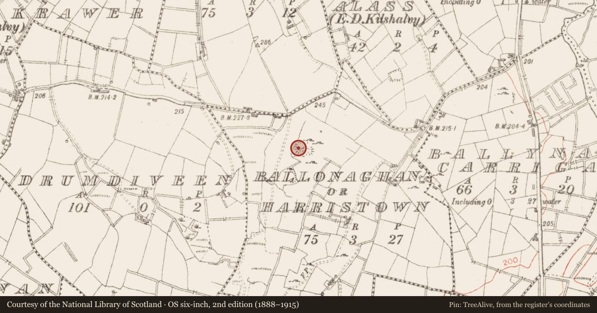 Ordnance Survey six-inch map, 2nd edition (1888–1915) covering the location of Enclosure, Ballonaghan Or Harristown, County Sligo, with a pin at the register's coordinates