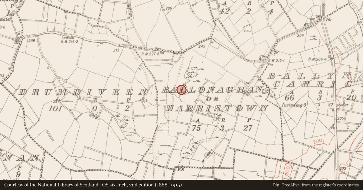 Ordnance Survey six-inch map, 2nd edition (1888–1915) covering the location of Ringfort - rath, Ballonaghan Or Harristown, County Sligo, with a pin at the register's coordinates