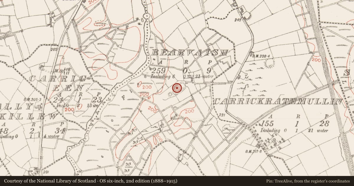Ordnance Survey six-inch map, 2nd edition (1888–1915) covering the location of Moated site, Bearvaish, County Sligo, with a pin at the register's coordinates