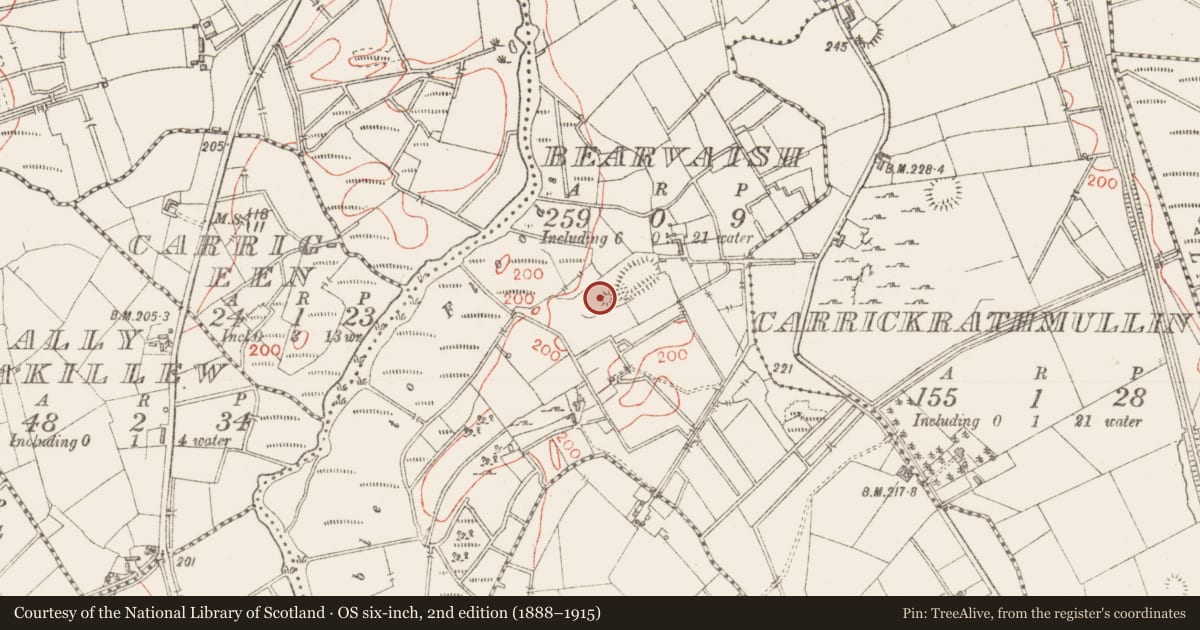Ordnance Survey six-inch map, 2nd edition (1888–1915) covering the location of Hut site, Bearvaish, County Sligo, with a pin at the register's coordinates
