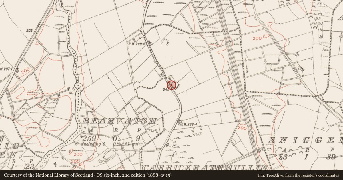 Ordnance Survey six-inch map, 2nd edition (1888–1915) covering the location of Ringfort - rath, Carrickrathmullin, County Sligo, with a pin at the register's coordinates