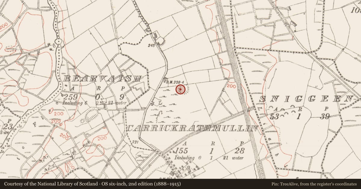 Ordnance Survey six-inch map, 2nd edition (1888–1915) covering the location of Ringfort - rath, Carrickrathmullin, County Sligo, with a pin at the register's coordinates