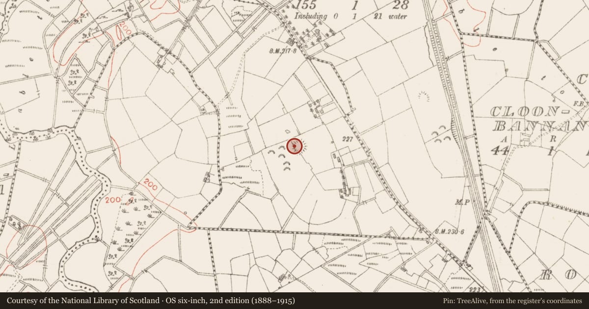 Ordnance Survey six-inch map, 2nd edition (1888–1915) covering the location of Ringfort - rath, Bearvaish, County Sligo, with a pin at the register's coordinates