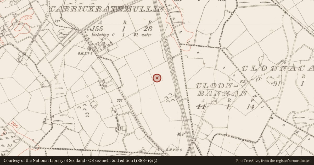 Ordnance Survey six-inch map, 2nd edition (1888–1915) covering the location of Ringfort - rath, Carrickrathmullin, County Sligo, with a pin at the register's coordinates