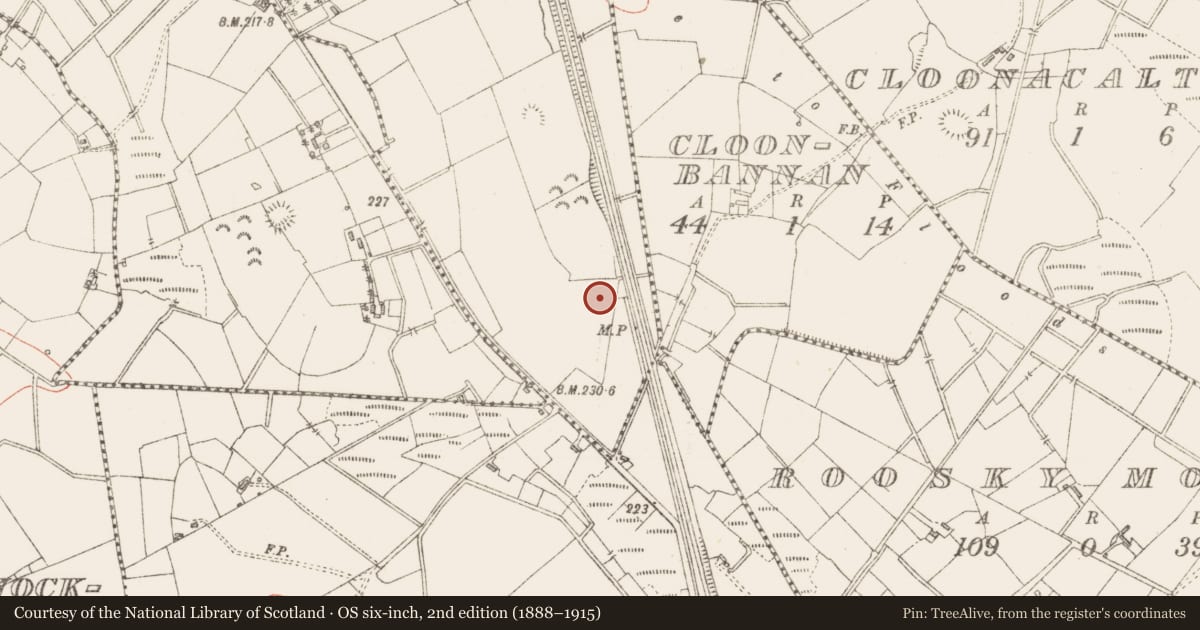 Ordnance Survey six-inch map, 2nd edition (1888–1915) covering the location of Ringfort - rath, Carrickrathmullin, County Sligo, with a pin at the register's coordinates