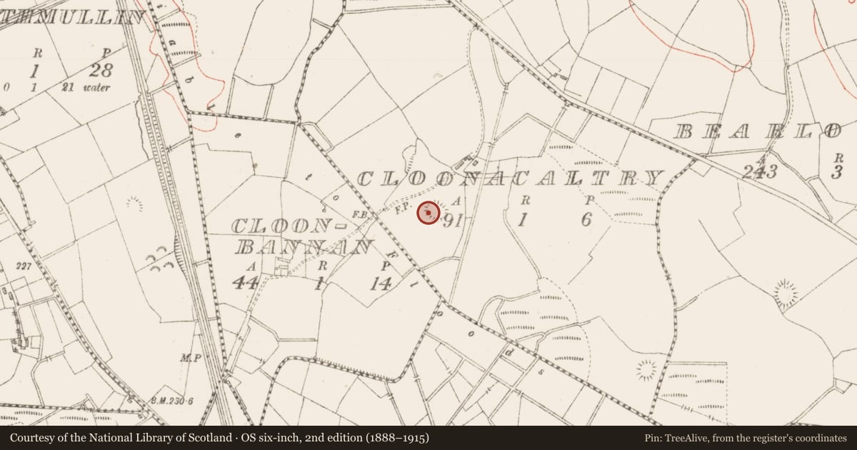 Ordnance Survey six-inch map, 2nd edition (1888–1915) covering the location of Ringfort - rath, Cloonacaltry, County Sligo, with a pin at the register's coordinates