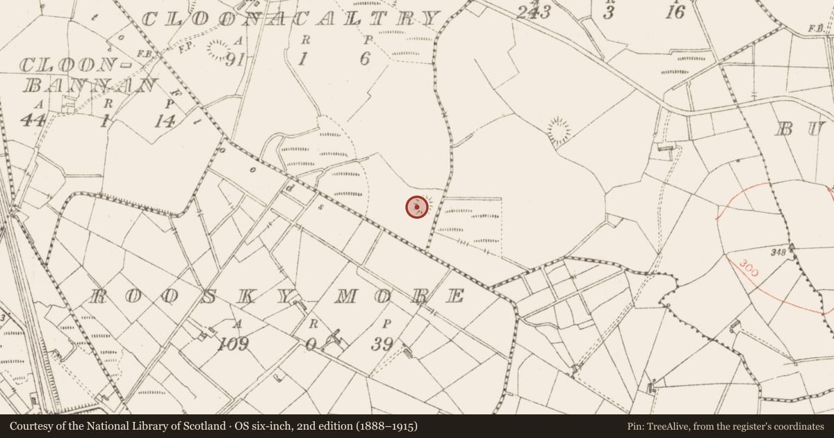 Ordnance Survey six-inch map, 2nd edition (1888–1915) covering the location of Barrow - ditch barrow, Cloonacaltry, County Sligo, with a pin at the register's coordinates